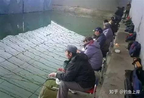 忻州钓鱼群